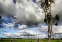 中超倒计时；葡萄牙体育冲刺阶段内部沟通；细节引发关注；话题不断；控场能力受关注的简单介绍-爱游戏娱乐平台
